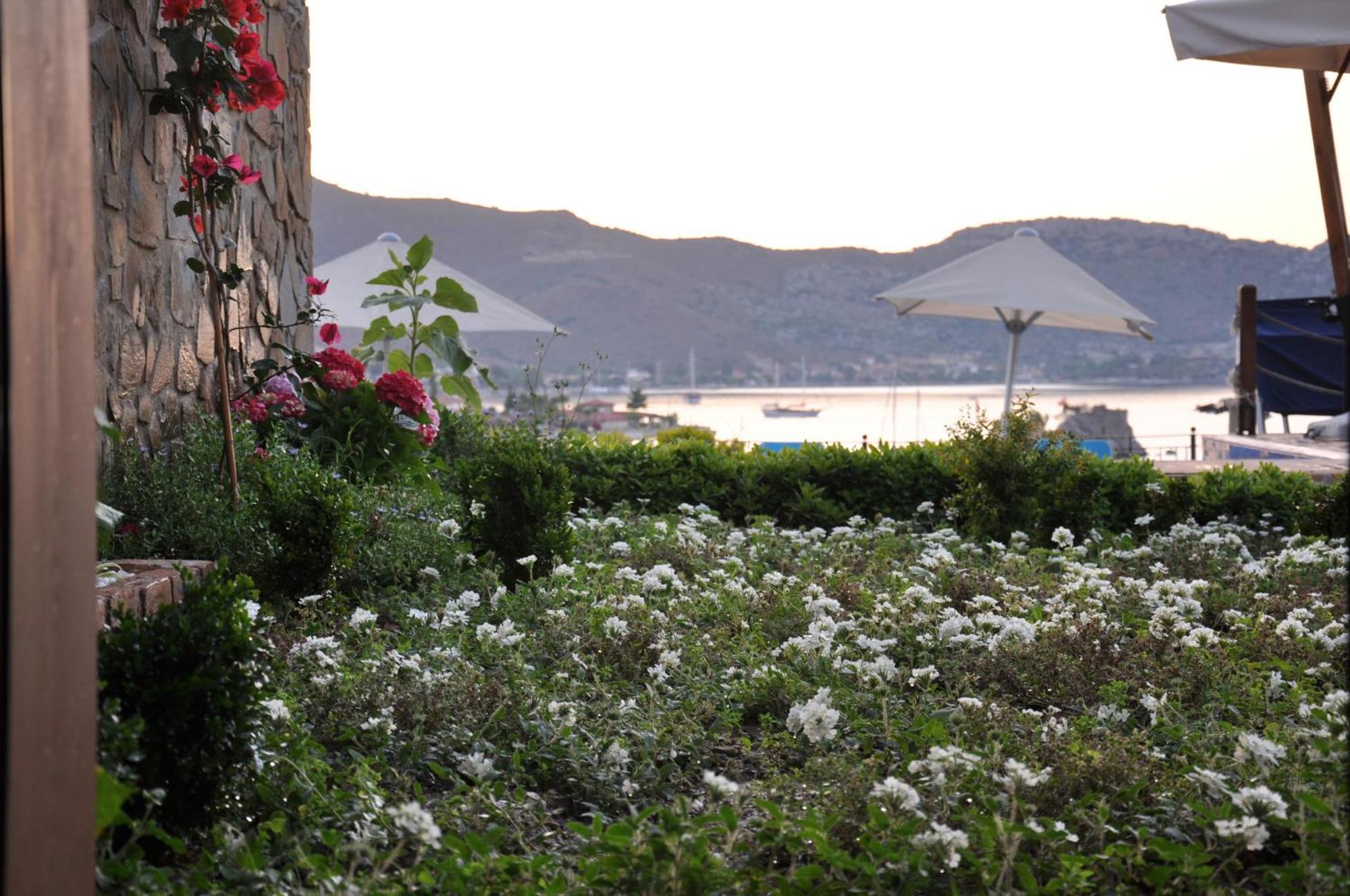 Badem Tatil Evi 塞利米耶 客房 照片